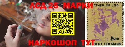 spice Коммунар